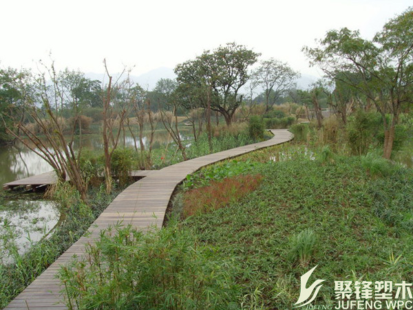 展示图片2