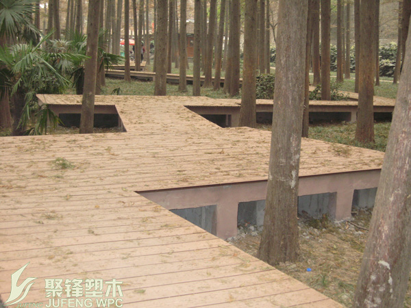 展示图片2