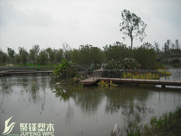 展示图片10