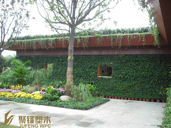 展示图片2