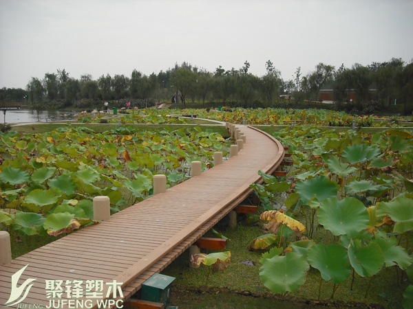 展示图片7