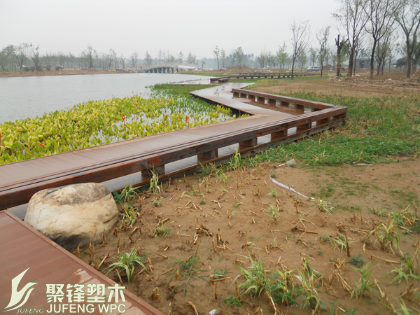 展示图片2