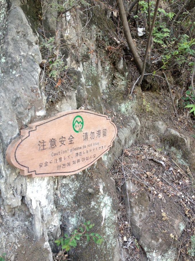 展示图片2
