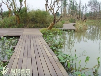 湿地公园塑木栈道