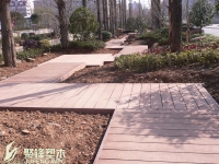 中山陵园博爱园生态修复工程