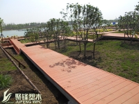 济宁照片曲阜明故城(三孔)旅游区