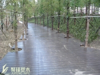 上海嘉定新城远香湖公园