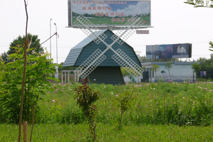 展示图片8