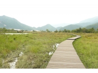 湖北神农架湿地栈道